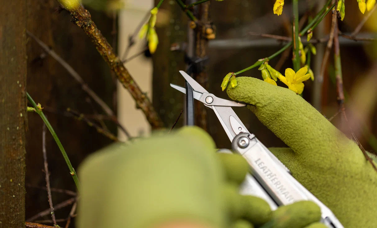 Leatherman Wave+ scissors cutting a small plant stem