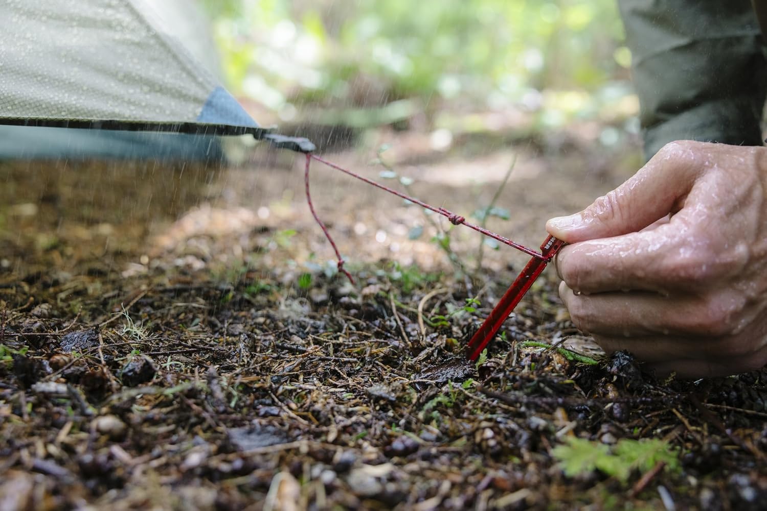 MSR tent guy line being secured in wet forest soil