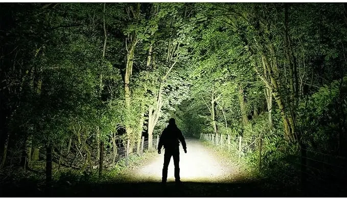 Wide bright beam from the Nitecore EDC37 illuminating a wooded path at night