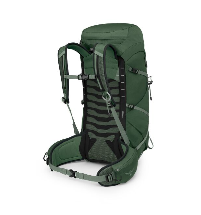 Rear view of the Talon 33 showing the AirScape back panel and hipbelt
