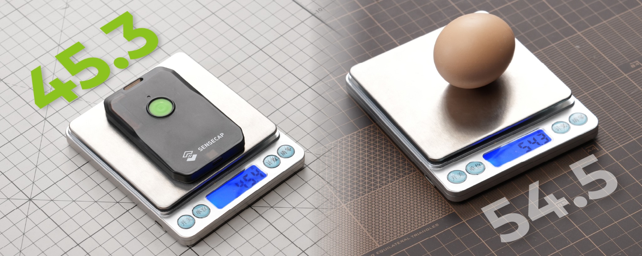 SenseCAP MeshTracker X1 on scales beside an egg for size comparison